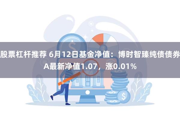 股票杠杆推荐 6月12日基金净值：博时智臻纯债债券A最新净值1.07，涨0.01%