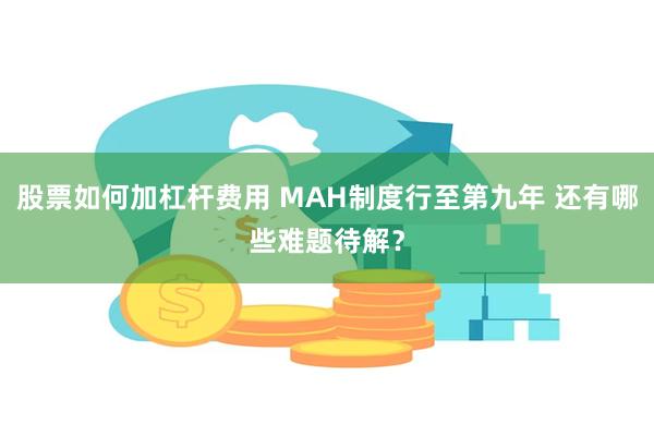 股票如何加杠杆费用 MAH制度行至第九年 还有哪些难题待解？