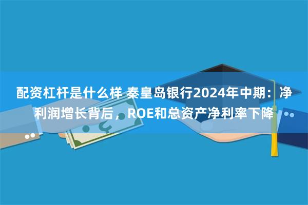 配资杠杆是什么样 秦皇岛银行2024年中期：净利润增长背后，ROE和总资产净利率下降