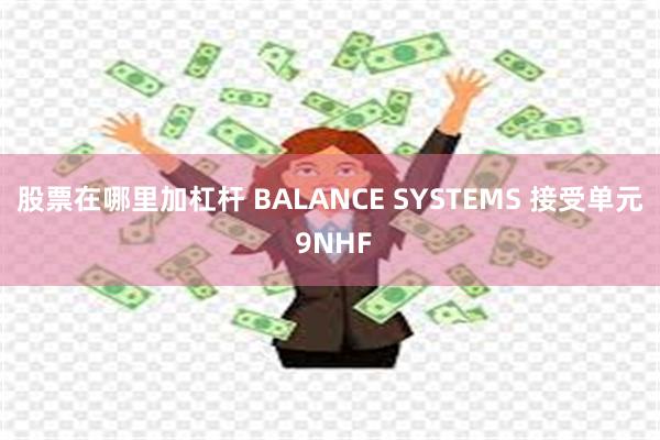 股票在哪里加杠杆 BALANCE SYSTEMS 接受单元 9NHF