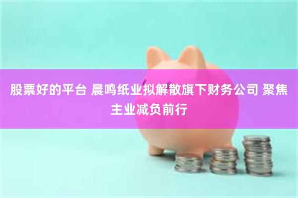 股票好的平台 晨鸣纸业拟解散旗下财务公司 聚焦主业减负前行