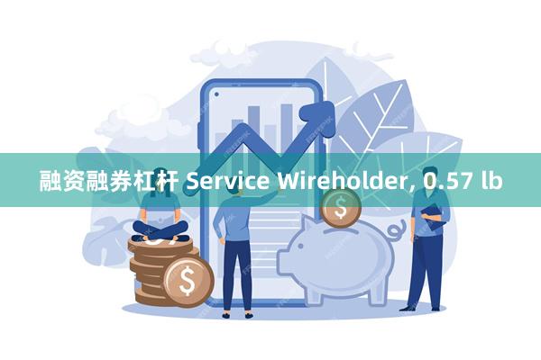 融资融券杠杆 Service Wireholder, 0.57 lb