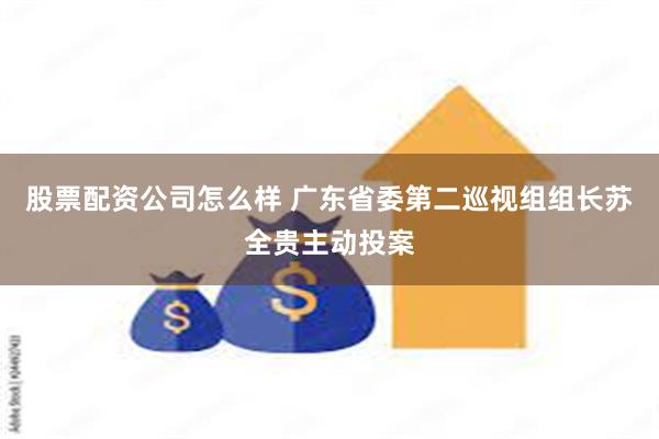 股票配资公司怎么样 广东省委第二巡视组组长苏全贵主动投案