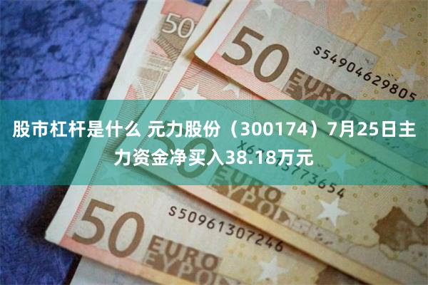 股市杠杆是什么 元力股份（300174）7月25日主力资金净买入38.18万元