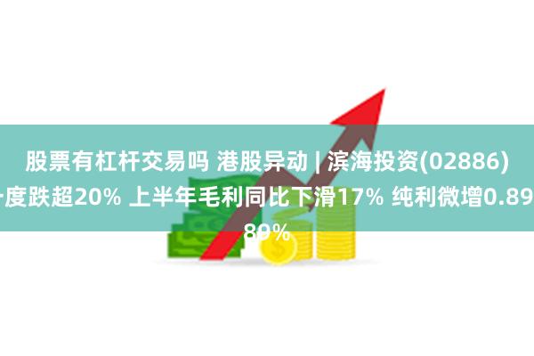 股票有杠杆交易吗 港股异动 | 滨海投资(02886)一度跌超20% 上半年毛利同比下滑17% 纯利微增0.89%