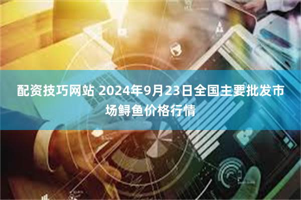 配资技巧网站 2024年9月23日全国主要批发市场鲟鱼价格行情