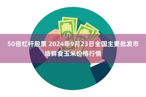 50倍杠杆股票 2024年9月23日全国主要批发市场鲜食玉米价格行情