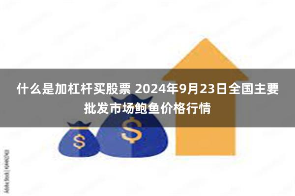 什么是加杠杆买股票 2024年9月23日全国主要批发市场鲍鱼价格行情