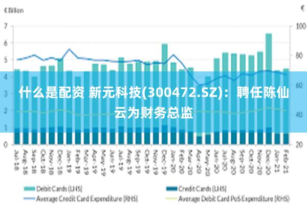 什么是配资 新元科技(300472.SZ)：聘任陈仙云为财务总监