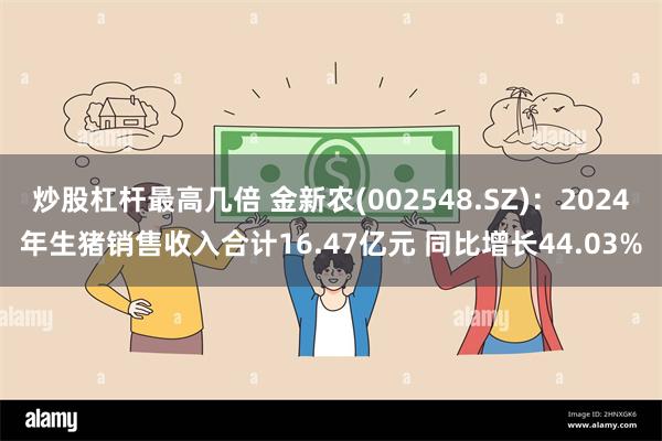 炒股杠杆最高几倍 金新农(002548.SZ)：2024年生猪销售收入合计16.47亿元 同比增长44.03%