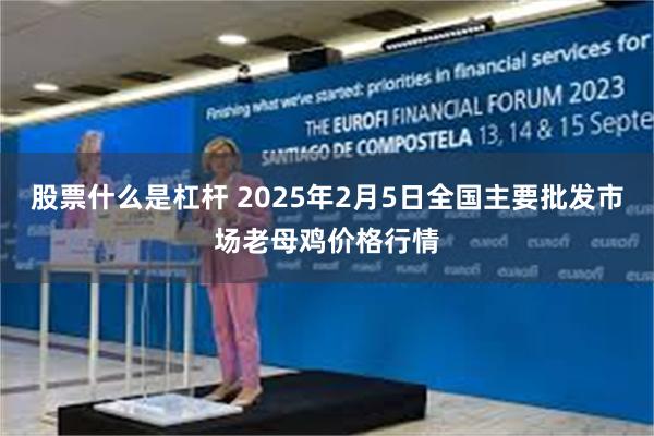 股票什么是杠杆 2025年2月5日全国主要批发市场老母鸡价格行情