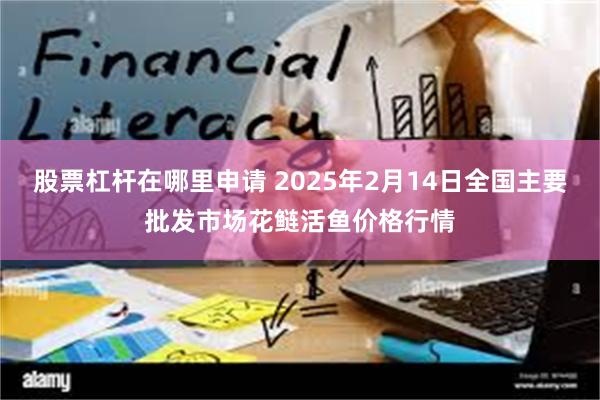 股票杠杆在哪里申请 2025年2月14日全国主要批发市场花鲢活鱼价格行情